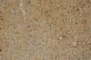 Raw Sienna