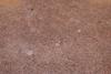 Saddle Brown