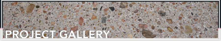 Project Gallery